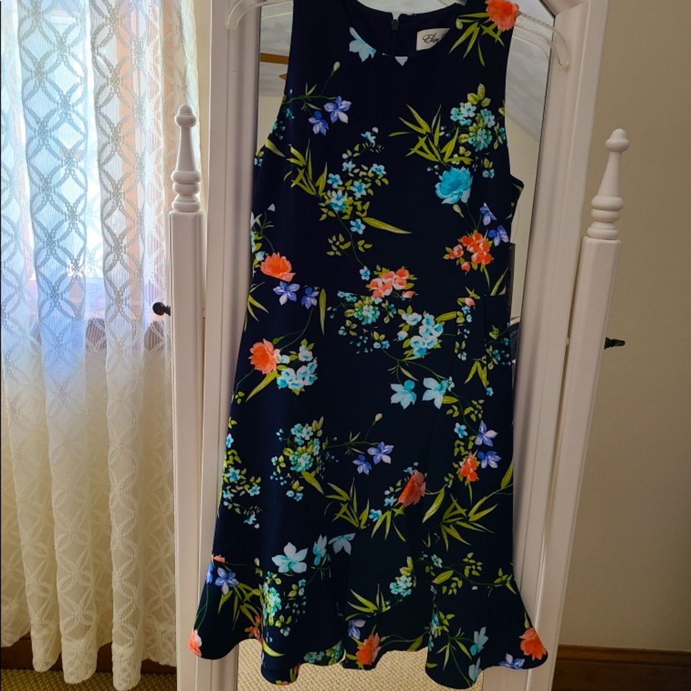 Beautiful brand new Eliza J dress